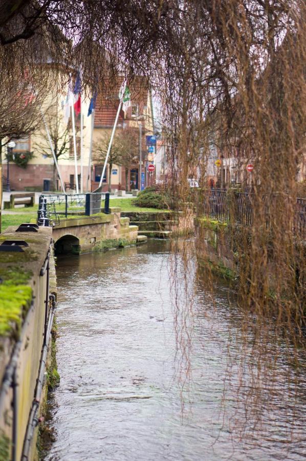 Meuble Tout Confort, Avec Terrasse Niederbronn-les-Bains Zewnętrze zdjęcie